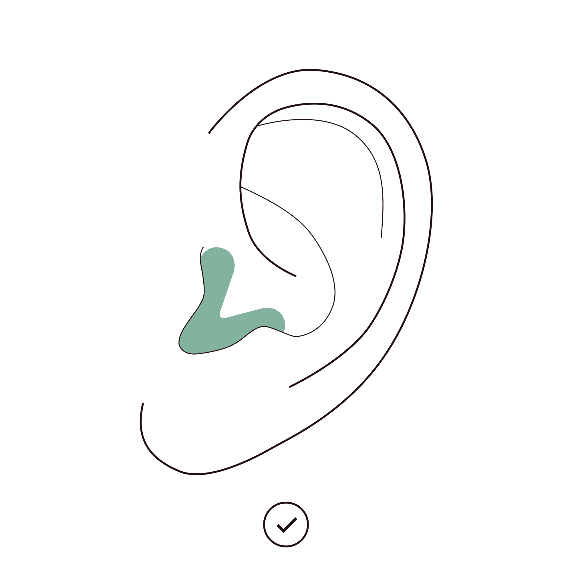 hoe te gebruiken alpine tune stap 3